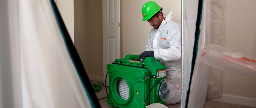 Taylor, TX mold cleanup