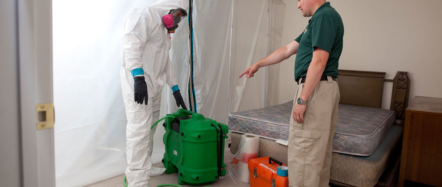 Taylor, TX mold removal process